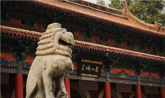 洛阳王城公园爆料案最新,真相大白，疑云散去！