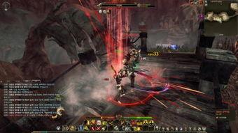 最新回响爆料视频,独家内幕大公开！